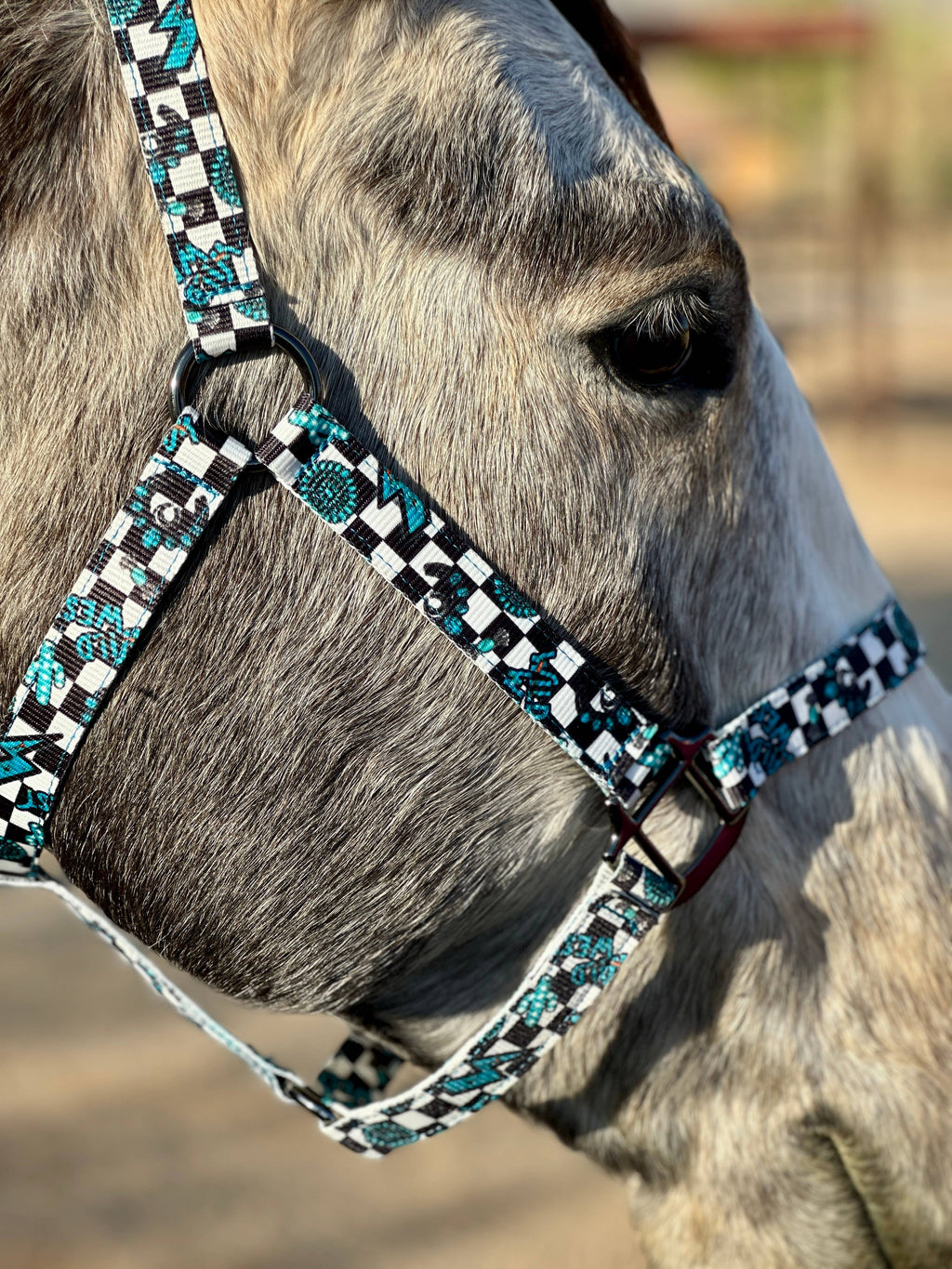 Nylon Halter - Horse Size: Neon Yeehaw