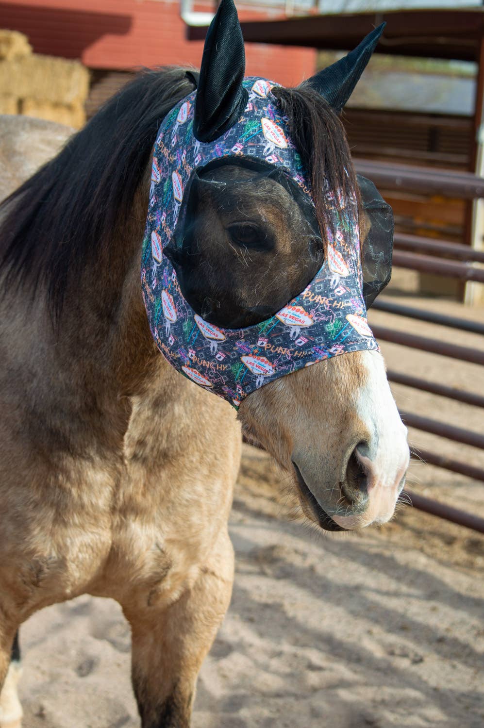 Lycra Fly Mask: Round Up / Horse