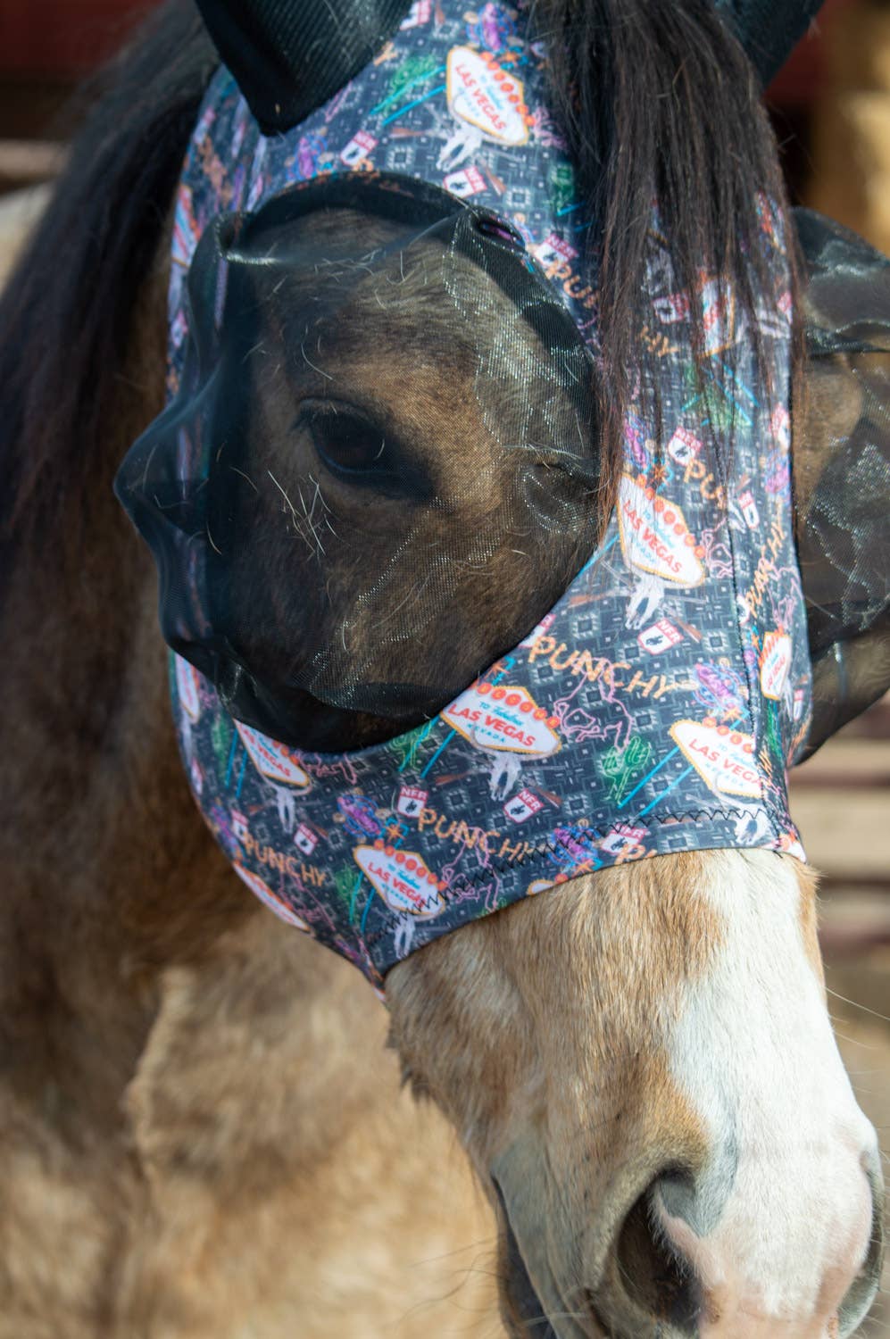 Lycra Fly Mask: Turquoise Howdy / Horse