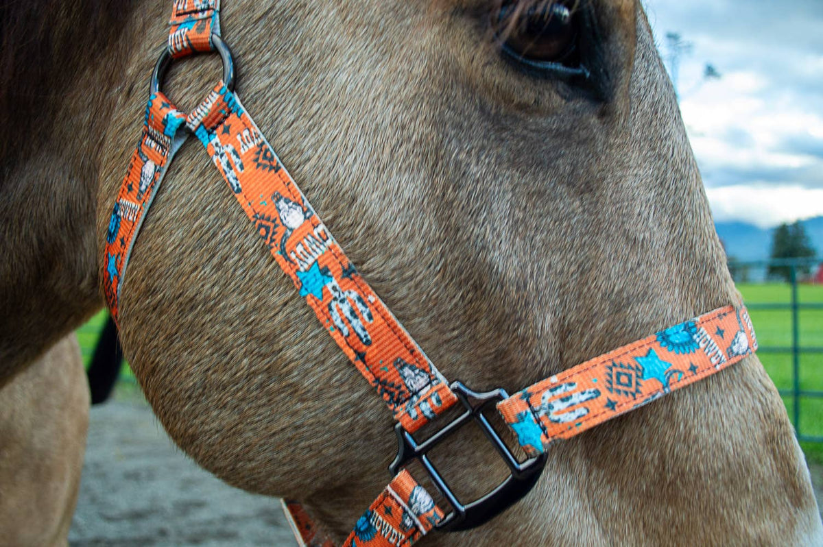 Nylon Halter - Horse Size: Sunset Aztec