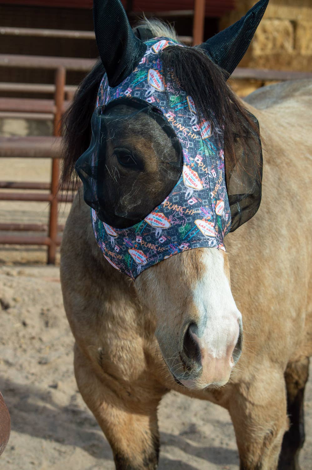 Lycra Fly Mask: Round Up / Horse