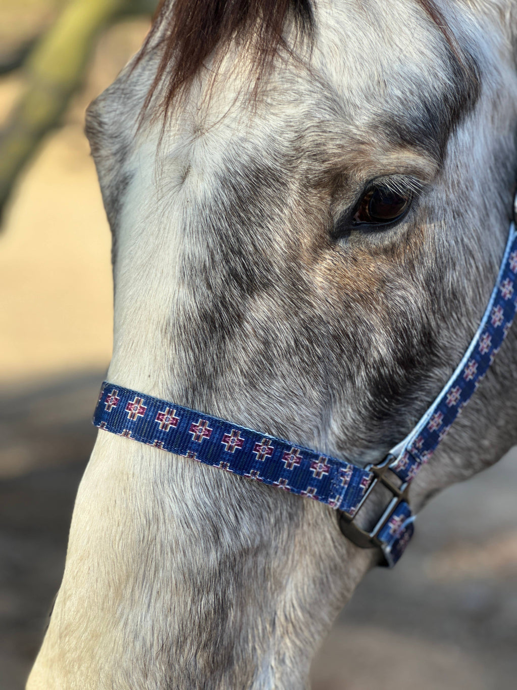 Nylon Halter - Horse Size: Turquoise Glass