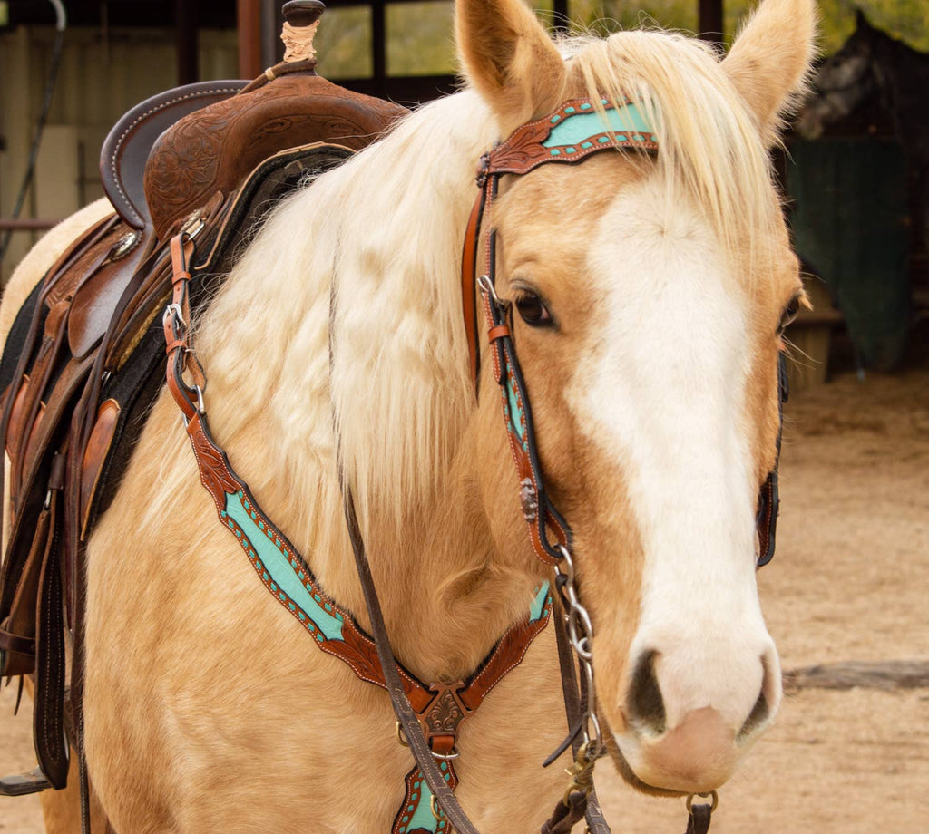 Bonanza Headstall and Breast Collar Set