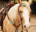 Bonanza Headstall and Breast Collar Set