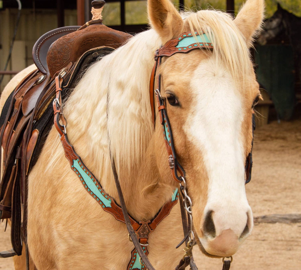 Bonanza Headstall and Breast Collar Set