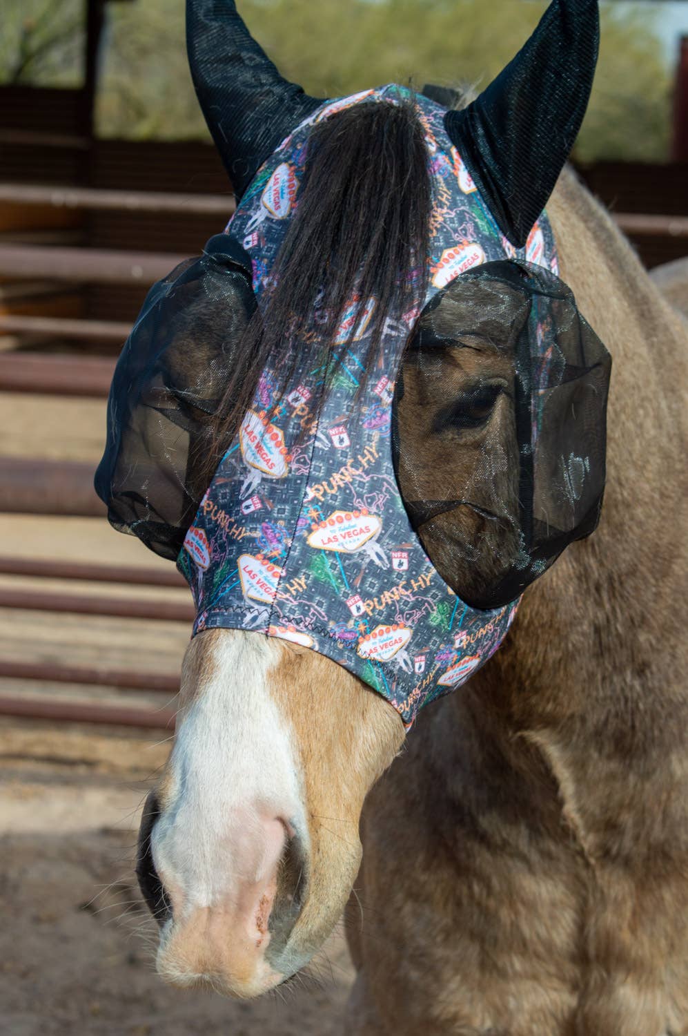 Lycra Fly Mask: Turquoise Howdy / Horse