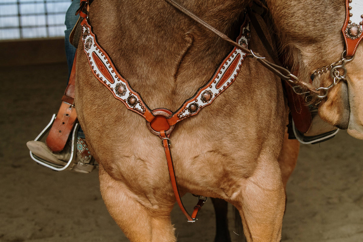 Doc Holiday Headstall and Breast Collar Set
