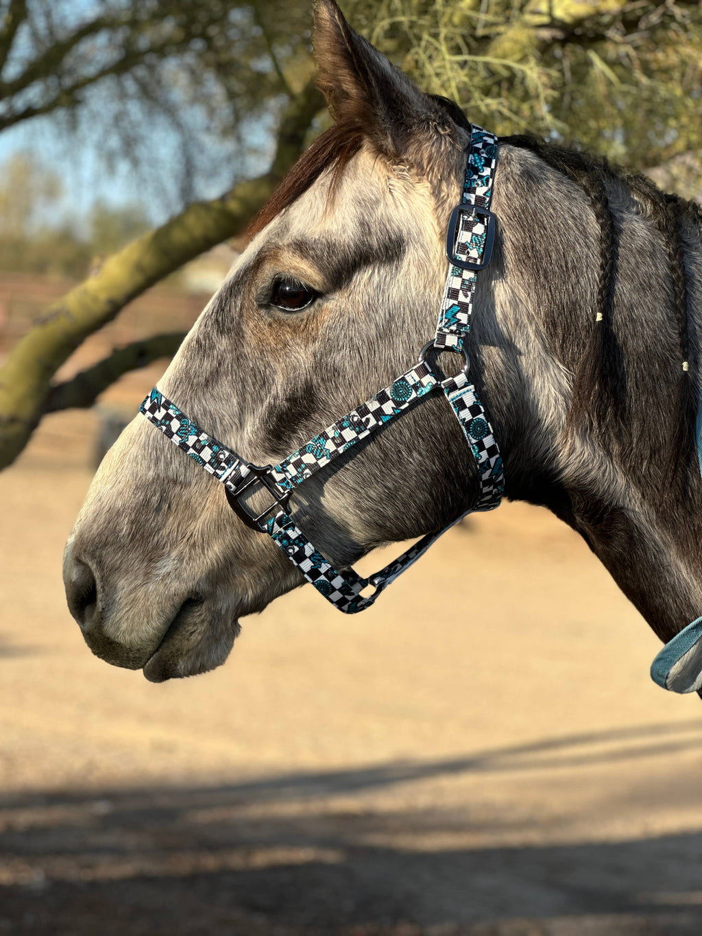 Nylon Halter - Horse Size: Aztec Bubblegum