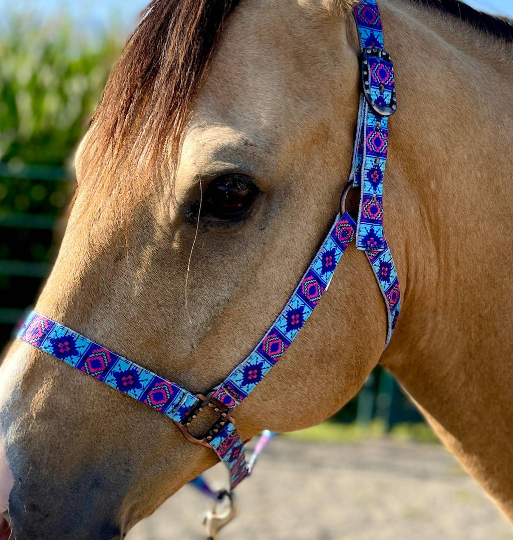 Nylon Halter - Horse Size: Turquoise Glass