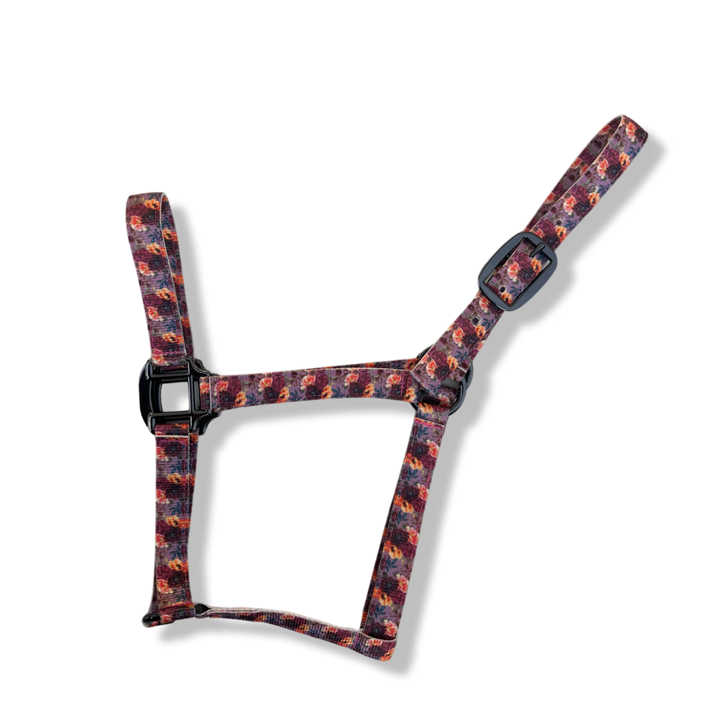 Nylon Halter - Horse Size: Turquoise Glass