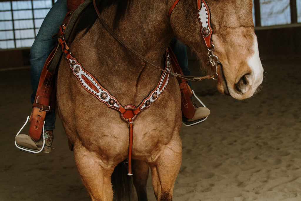 Doc Holiday Headstall and Breast Collar Set