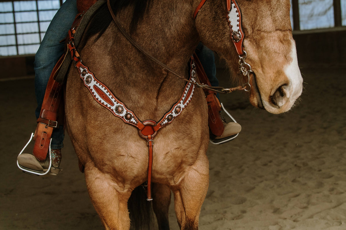 Doc Holiday Headstall and Breast Collar Set