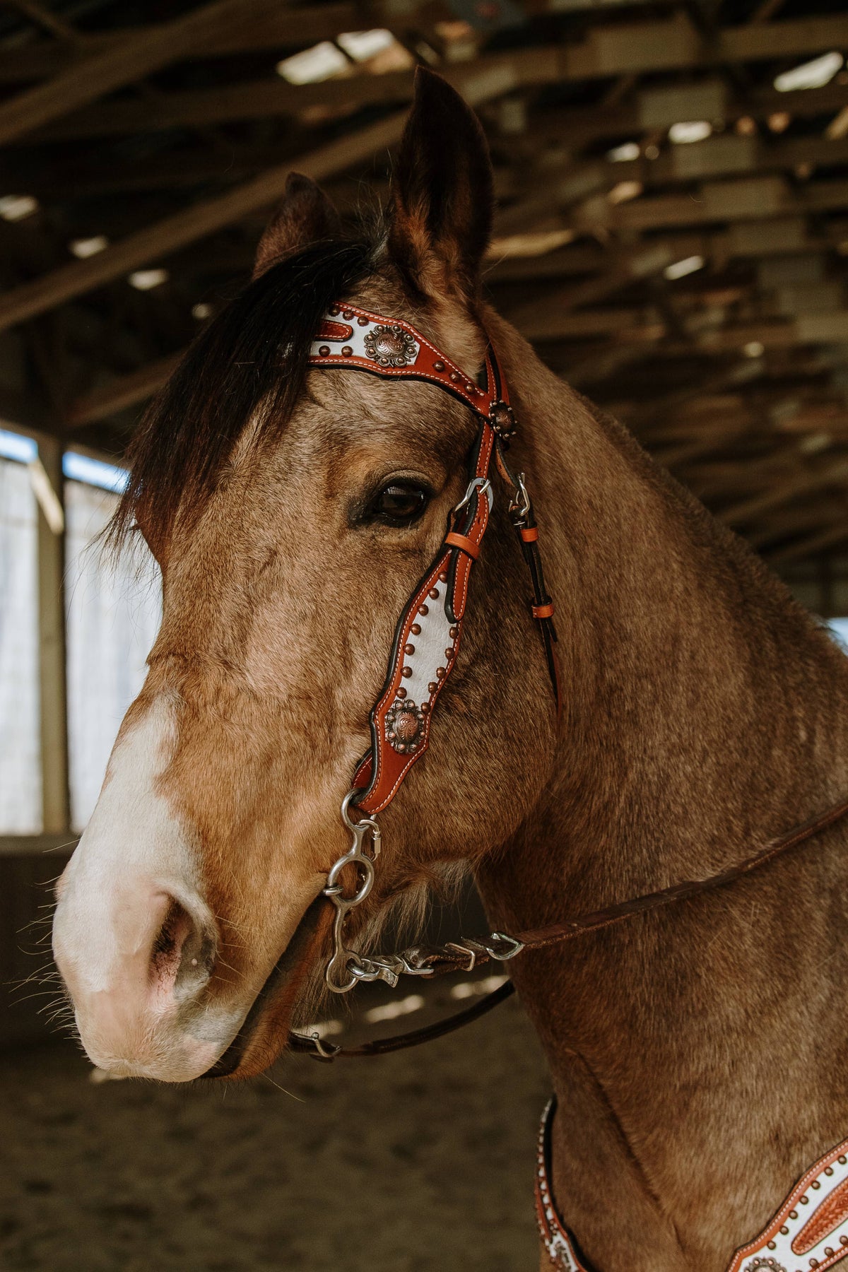 Doc Holiday Headstall and Breast Collar Set
