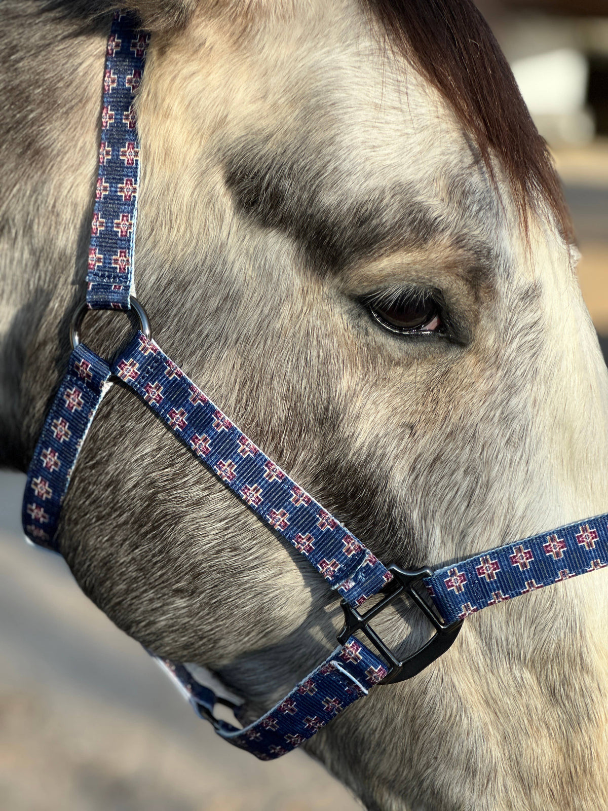 Nylon Halter - Horse Size: Aztec Bubblegum