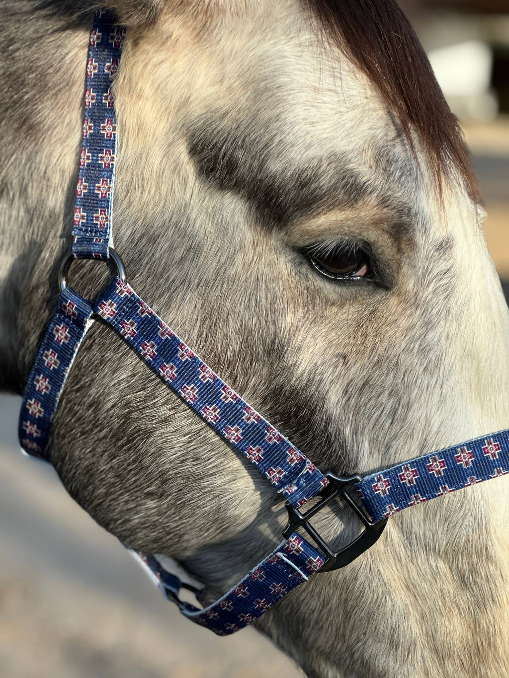 Nylon Halter - Horse Size: Jackpot