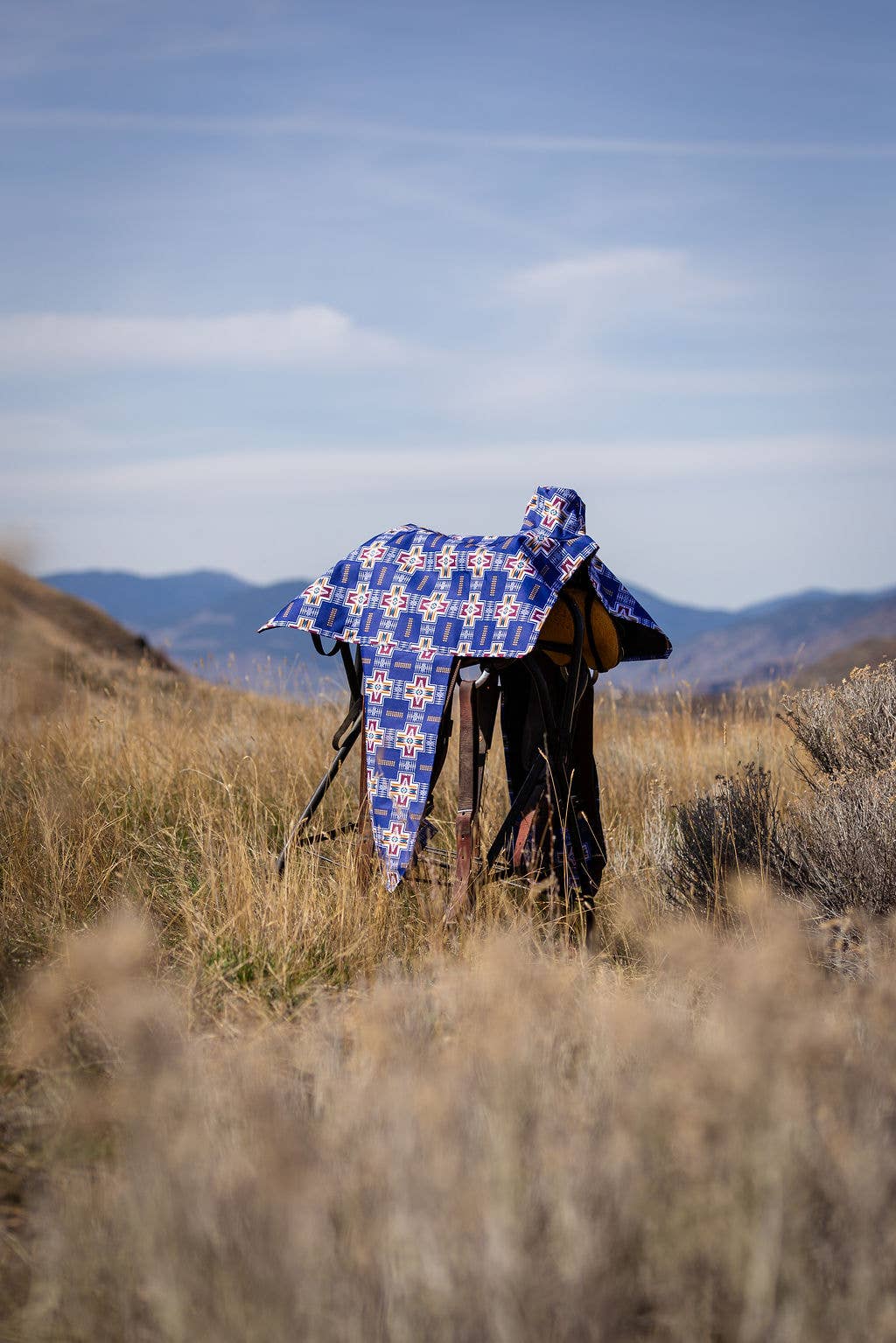 Saddle Cover: Round Up