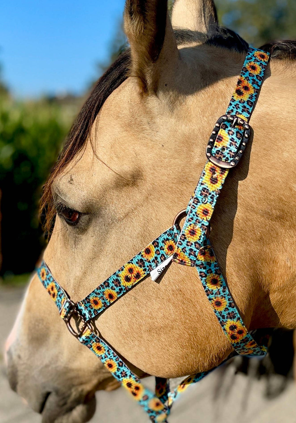 Nylon Halter - Horse Size: Round Up