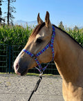Nylon Halter - Horse Size: Aztec Bubblegum