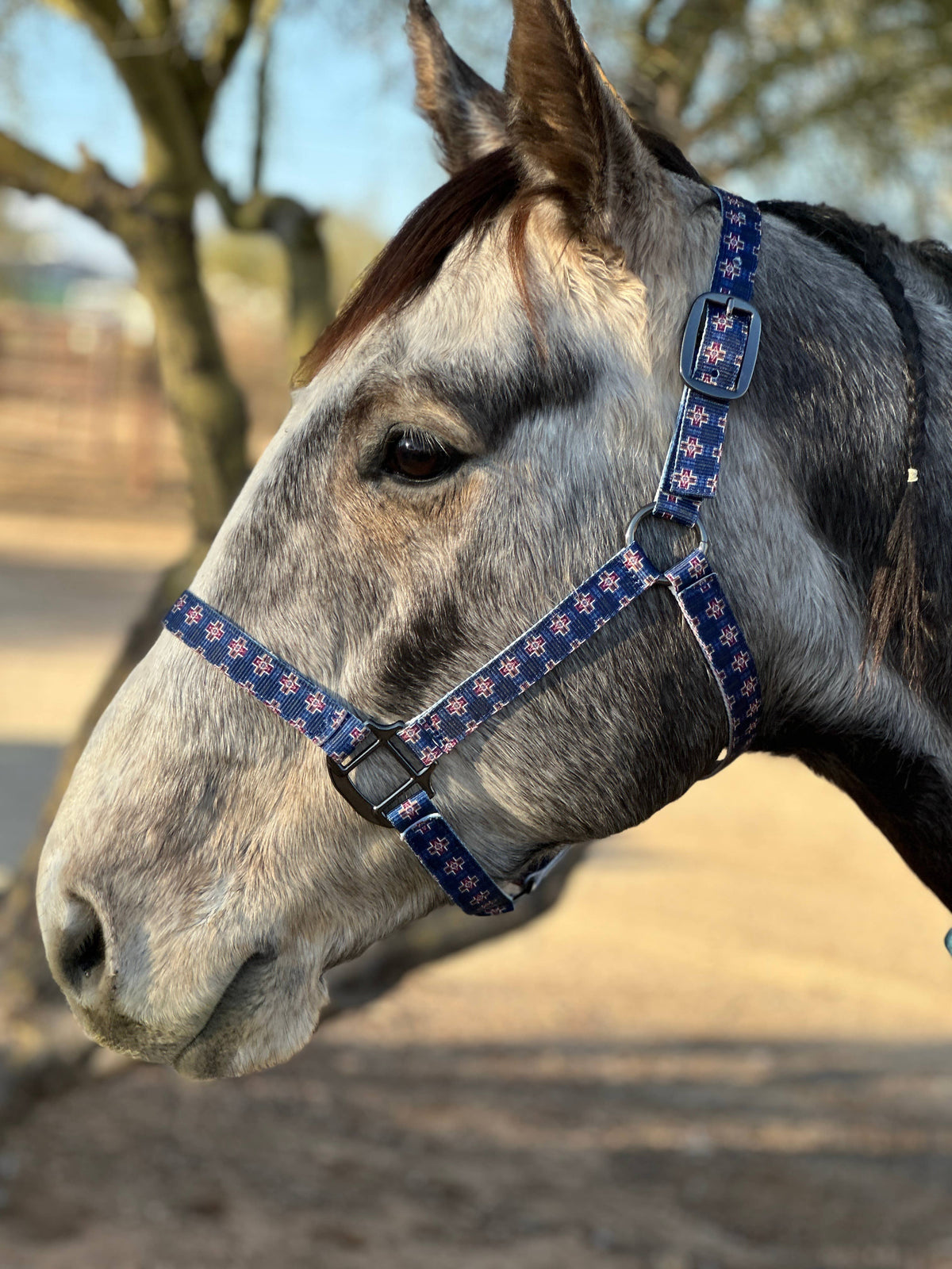Nylon Halter - Horse Size: Sunset Aztec