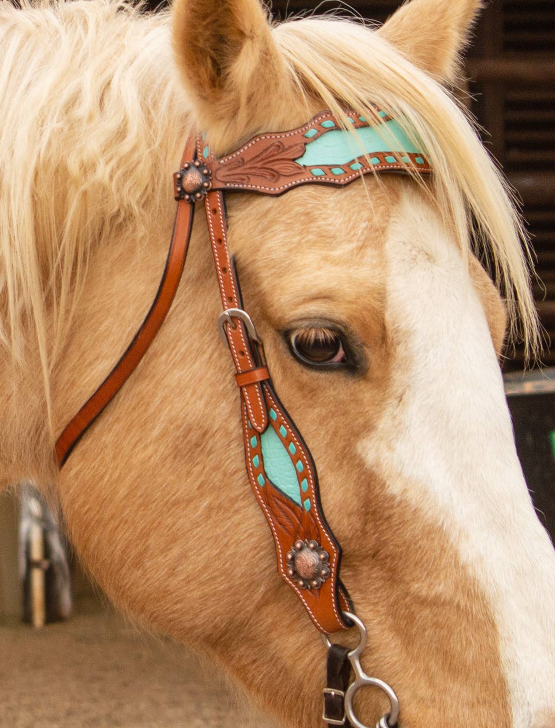 Bonanza Headstall and Breast Collar Set