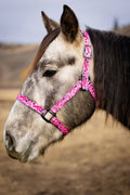 Nylon Halter - Horse Size: Jackpot