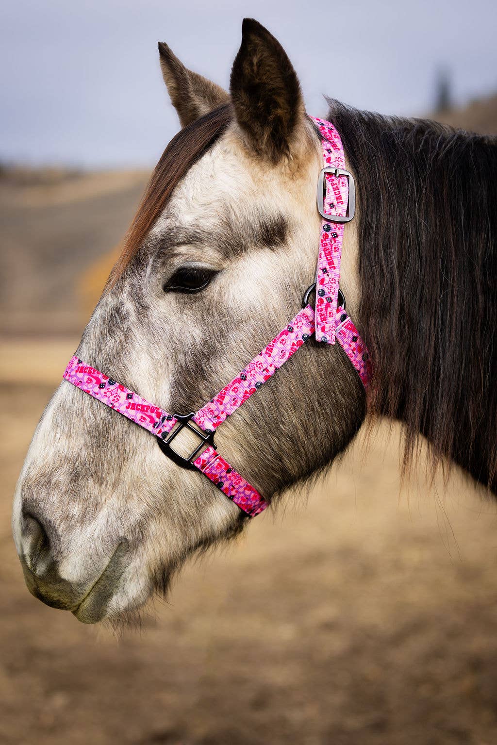Nylon Halter - Horse Size: Jackpot