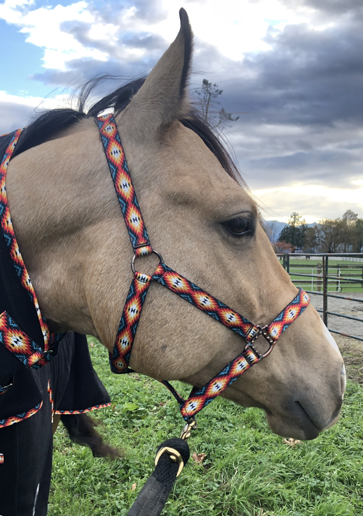 Nylon Halter - Horse Size: Sunset Aztec